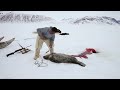 inuit hunter greenland