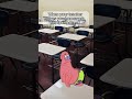 When teachers give you H.W. On break #funny #memes #meme #homework #spongebob #patrickstar