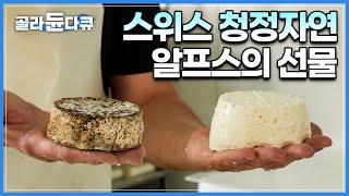 평화로운 알프스에서 자연 방목한 산양유로 만든 단백질 가득 염소 치즈│사람도 염소도 행복한 스위스 시옹 알파인 염소 농장│세계테마기행│#골라듄다큐