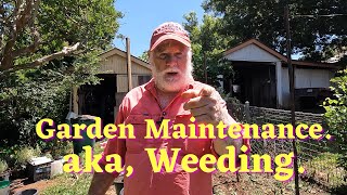 Some Very Overdue Garden Maintenance. (Weeding essentially).