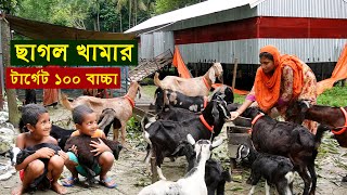 ছাগলের খামার বছরে টার্গেট ১০০ বাচ্চা | ব্ল্যাক বেঙ্গল ছাগল পালন পদ্ধতি | Black Bengal Goat Farming