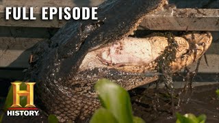 Swamp People: Ruthless Oversized Beasts Fill the Swamp (S10 E13) | Full Episode | History