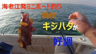 晩秋、釣っても食べても楽しいキジハタ　海老江発ミニボート釣り