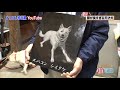 頭が良すぎる天才犬 genius dog）