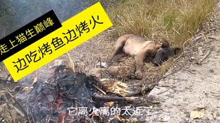 没事去钓钓鱼，生一堆火，钓上来直接就做成大餐给它们吃