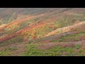 jg8k 宮城 栗駒山の紅葉 栗原側 miyagi kurikomayama kurihara side in autumn