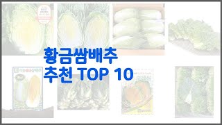 황금쌈배추 추천 진짜 가성비를 경험해보세요 가격 대비 품질 최고 상품 10가지