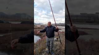 한방에 1타5피 #shorts #fishing #망둥어 #바다생활 #시화방조제 #시화방조제낚시