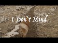 I Don't Mind (Official Lyric Video)