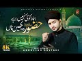 Huzoor Dekhen Na | Naat Shareef 2026 | Syed Abdullah Sultani | Heart Touching Kalam #naat #viral