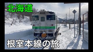 【廃線予定】根室本線経由で新得から札幌へ！代行バスで狩勝峠越え！