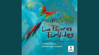 Los pájaros perdidos