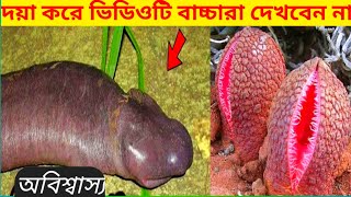 আল্লাহর কুদরতের কিছু নিদর্শন দেখুন- গাছপালা। Miracle of Allah