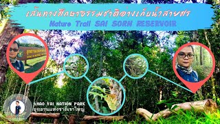 เส้นทางศึกษาธรรมชาติอ่างเก็บน้ำสายศร - เขาใหญ่ [NatureTrailSAISORNRESERVOIR-KHAOYAINATIONALPARK]