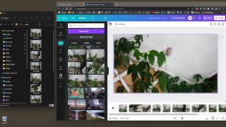 Videoguida - Videomontaggio Semplice, Facile, Gratuito con Canva, Inserimento Clip, Crea Filmato