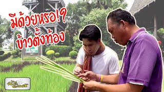 บันทึกจากรอยล้อ : ตอน เพลินใจไปกับท้องนา จ สุพรรณ [02 พ.ค.63]ช่อง Nation TV22