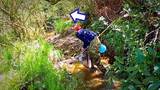 山の水路の先に生き物の楽園があった…（冬休み一気見版）