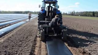 Uue maasikaistanduse rajamine / Preparing strawberry beds