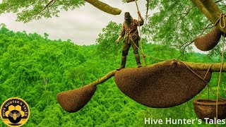 Discovery of Epic Jungle Honey Hunt: 100-Meter Climb to Harvest 3 Wild Honeycombs