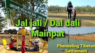 Jal jali/Dal dali || Mainpat🏠||Phendeling Tibetan Settlement||Tibetan vlogger||Phurbu Dolma