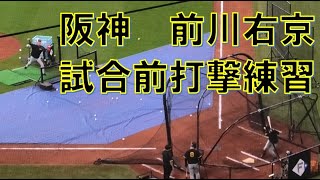 阪神　前川右京　試合前打撃練習　＠エスコンフィールド北海道　20230611