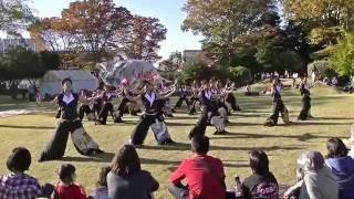 上州どっと楽市(20161105_我謳)襲雷舞踊団