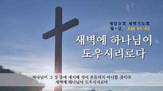 | 나는 양인가 염소인가? | 마 25:31-46 | 설교: 김대경 담임목사