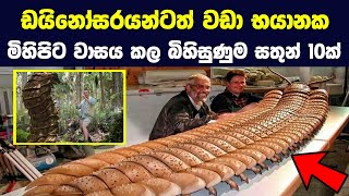 ඩයිනෝසරයන්ටත් වඩා භයානක මිහිපිට වාසය කල බිහිසුණුම සතුන් 10ක් | 10 Animals Scarier Than Dinosaurs