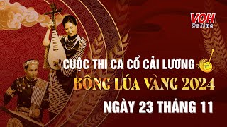 BÔNG LÚA VÀNG 2024 - Ngày 23/11/2024 | Chuẩn bị cho vòng Lúa Vàng - Ca cổ cải lương - Full Show