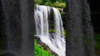 ✨️இங்க போனா மனசுக்கு அவ்வளவு சந்தோஷமா இருக்குங்க 🥰 | Relaxing WaterFalls #usa #shorts #waterfall