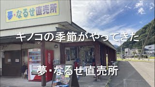 夢・なるせ直売所にもキノコの季節がやってきた（2022年９月17日）