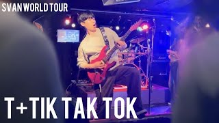 SILICA GEL - T + Tik Tak Tok cover. 2024.11.17