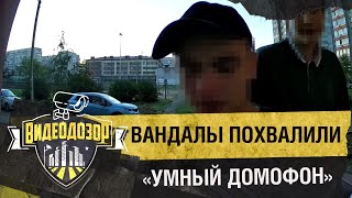 Вандалы напали на «Умный домофон» и похвалили его за прочность | Видеодозор