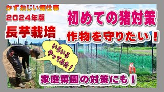 初めての猪対策をいろいろ（電気柵以外の方法）やってみた！長芋や他の作物も守りたい：2024年版長芋栽培