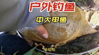 野外钓鱼有时候不知不觉就中大货，居然中大甲鱼出乎我意料