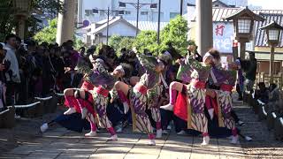 水戸藩YOSAKOI連・パレード＠2019　鹿島神宮　奉納よさこい