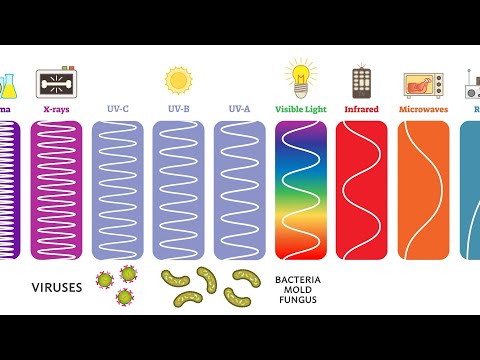 Can bacteria survive gamma radiation?