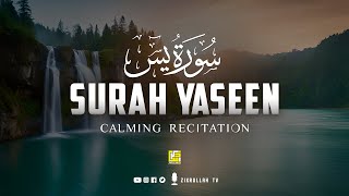 💚 یس سورہ - كامله  تلاوة هادئة تريح الاعصاب Suart Yaseen (Ya-Sin) | Zikrullah TV