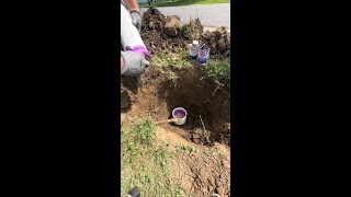 Cleanout repair
