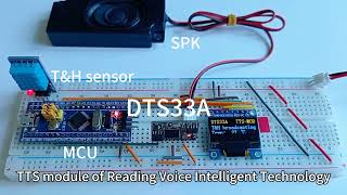 DTS33A Speech Synthesis Module Convert Text to Speech TTS Module Voice Broadcast Human Pronunciation