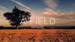 Nostalgic Chilled Lo-Fi Beat - "A FIELD" | Lo-Fi | by AMAREmusic