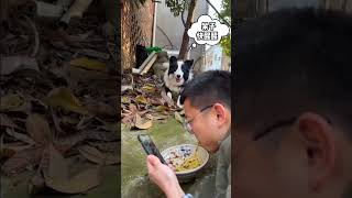 😉এটা একটি স্বামী এবং বউয়ের মধ্যে😆😃😜#comedy #funny #viral #shorts