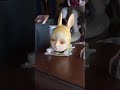 コルメキッサ　コレクションコーナー　創作人形　bjd painting art doll bisque teddy bear 球体関節人形