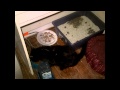 Samson-Hello Sunshine.wmv