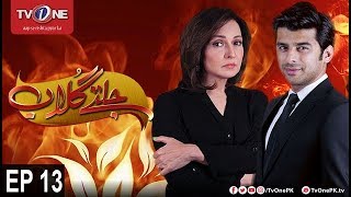 Jaltay Gulab | Episode 13 | TV One Drama | 22nd November 2017