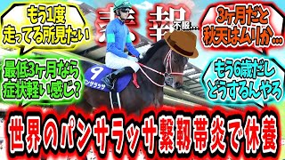 『【悲報】世界のパンサラッサ繋靱帯炎』に対するみんなの反応【競馬の反応集】