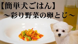 【犬ごはん】わんこに振る舞う彩り野菜の簡単手作りごはん