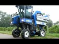 weinlese 2013 südliche weinstrasse germany vollernter new holland vl 620 im einsatz