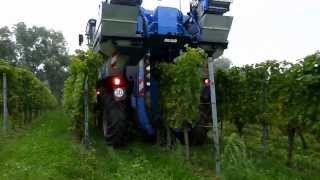 Weinlese 2013 Südliche Weinstrasse Germany Vollernter New Holland VL 620 im Einsatz