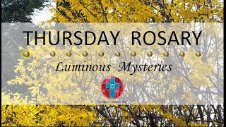Thursday Rosary • Luminous Mysteries of the Rosary 💚 April 11, 2024 VIRTUAL ROSARY - MEDITATION